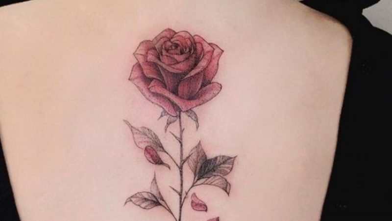 14 Super Sexy Back Tattoo  Ideas for Women