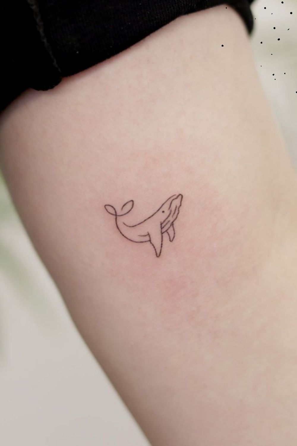 Dolphins tattoo designs