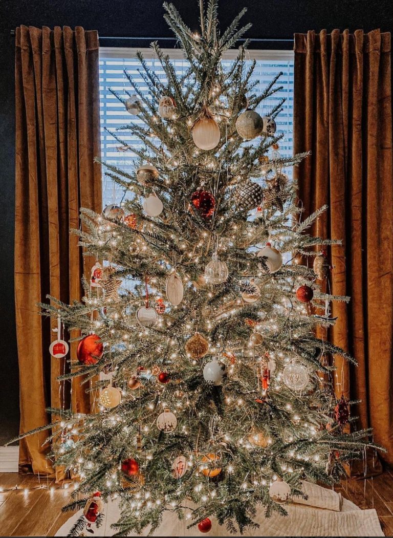 30 Lovely Christmas Tree ideas 2021 to get inspired