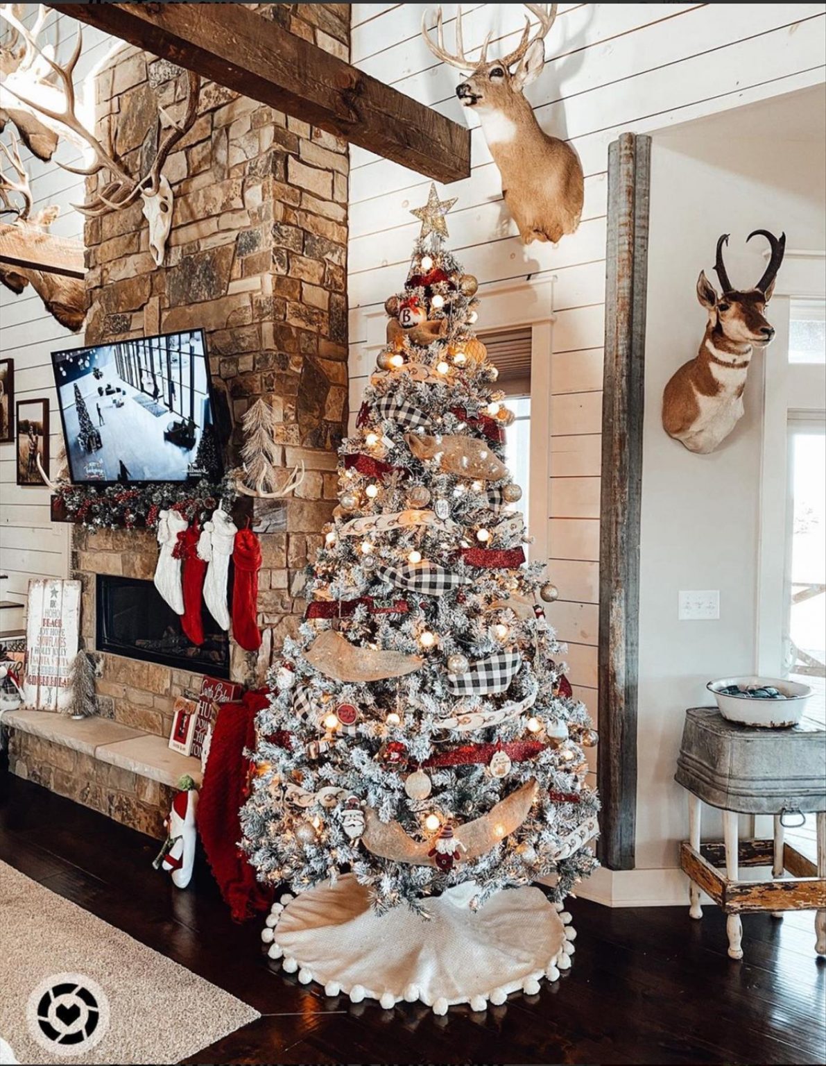 30 Lovely Christmas Tree ideas 2021 to get inspired